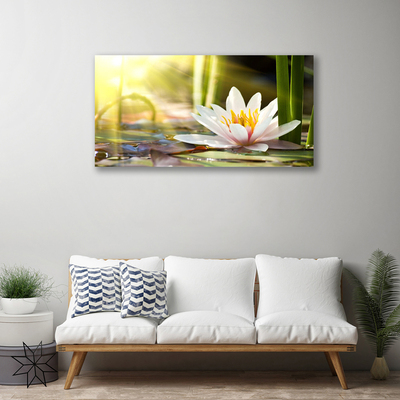 Obraz Canvas Kvet vodné lilie