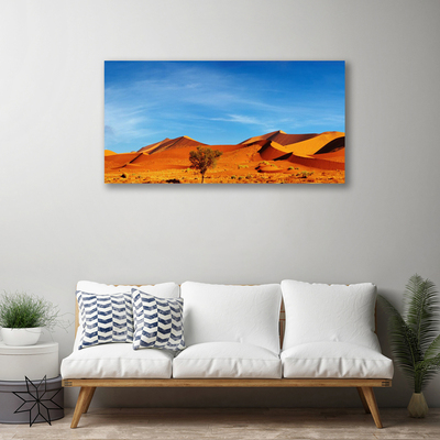 Obraz Canvas Púšť krajina