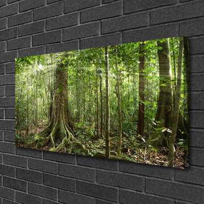 Obraz Canvas Les príroda džungle