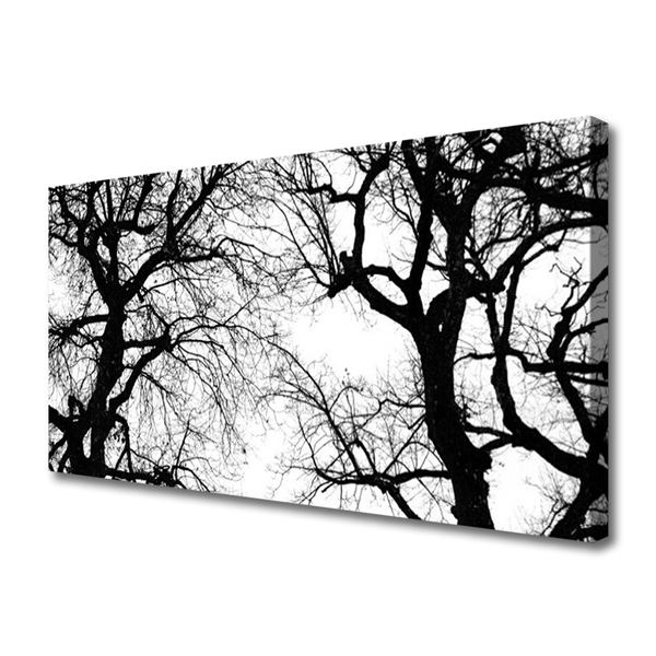 Obraz Canvas Stromy príroda čiernobiely