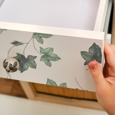 Nalepovacia fólia na nábytok s motívom listov brečtanu