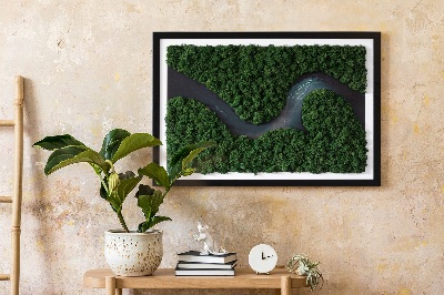 Obraz z machu Rieka v lese