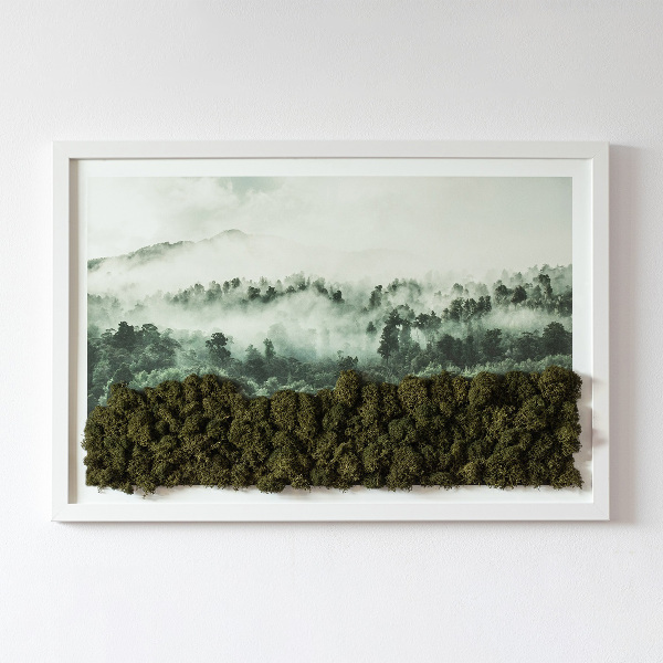 Živý machový obraz Lesy v hmle