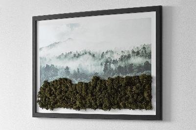 Živý machový obraz Lesy v hmle