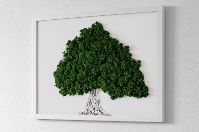 Zelený obraz z machu Strom s koreňmi na bielom pozadí
