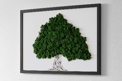 Zelený obraz z machu Strom s koreňmi na bielom pozadí