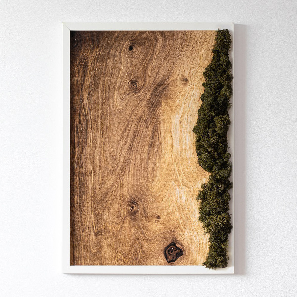 Obraz z machu Prírodný dub