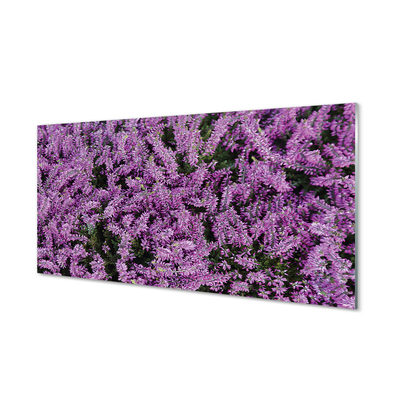 Sklenený obraz fialové kvety