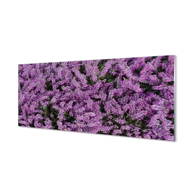 Sklenený obraz fialové kvety