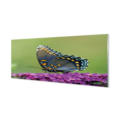 Sklenený obraz Farebný motýľ na kvety