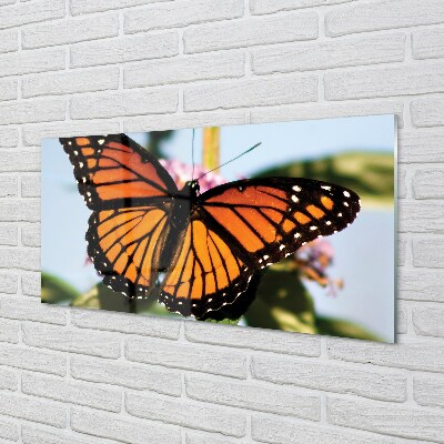 Sklenený obraz farebný motýľ
