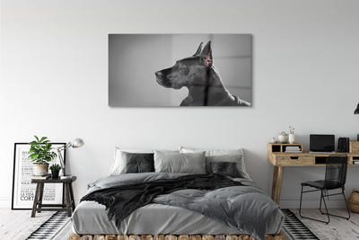 Sklenený obraz Čierny pes