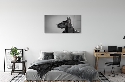 Sklenený obraz Čierny pes