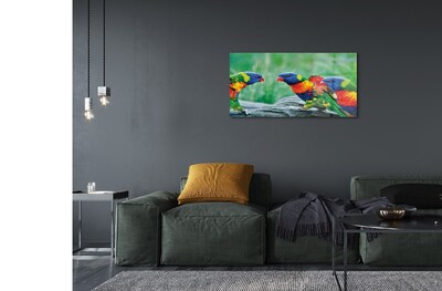 Sklenený obraz Farebný papagáj stromu