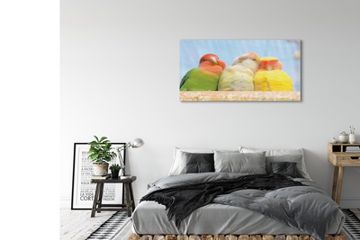 Sklenený obraz farebný papagáj