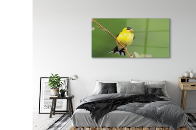 Sklenený obraz žltý papagáj