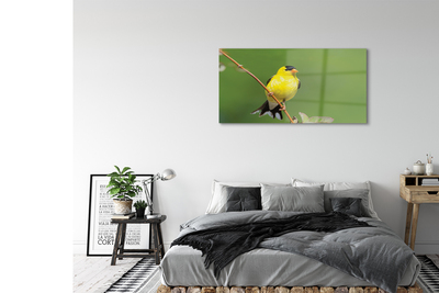 Sklenený obraz žltý papagáj