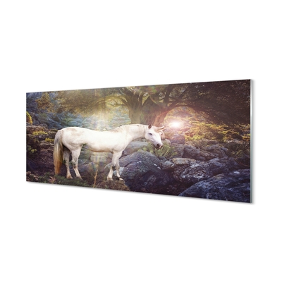 Sklenený obraz Unicorn v lese