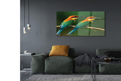 Sklenený obraz Farebné papagáj na vetve