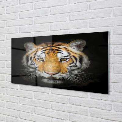 Sklenený obraz tiger
