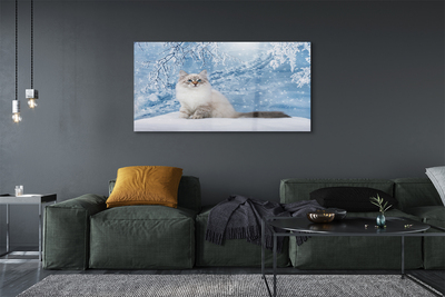 Sklenený obraz mačka zima