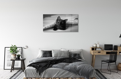Sklenený obraz Mačka pod prikrývkou
