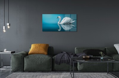 Sklenený obraz Swan vo vode