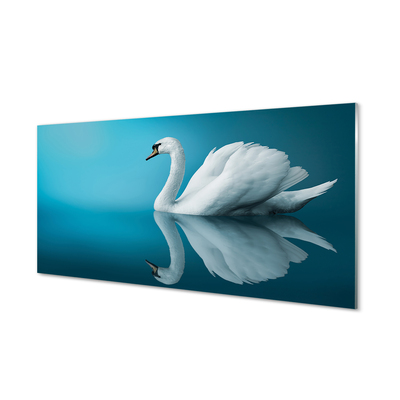 Sklenený obraz Swan vo vode