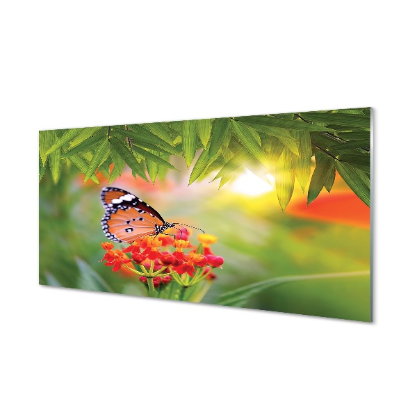 Sklenený obraz Farebný motýľ kvety