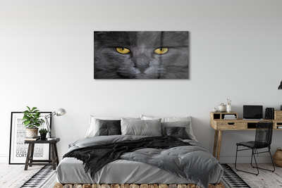Sklenený obraz Čierna mačka