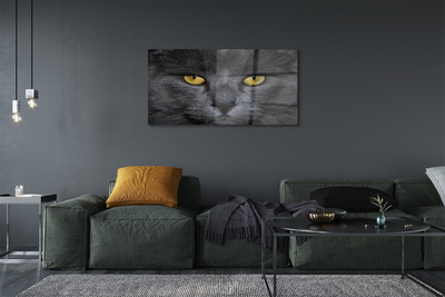 Sklenený obraz Čierna mačka