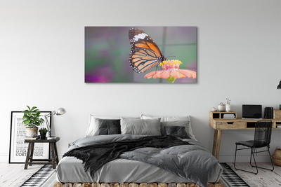 Sklenený obraz Farebný motýľ kvetina