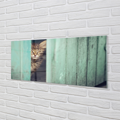 Sklenený obraz Zaglądający cat