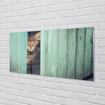 Sklenený obraz Zaglądający cat