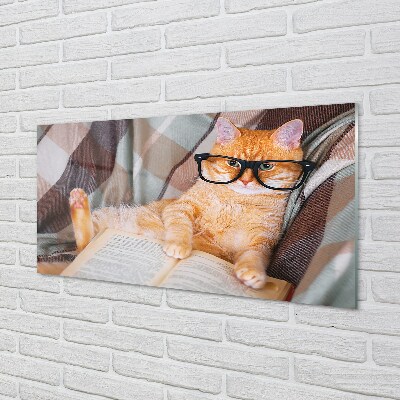 Sklenený obraz čitateľ cat