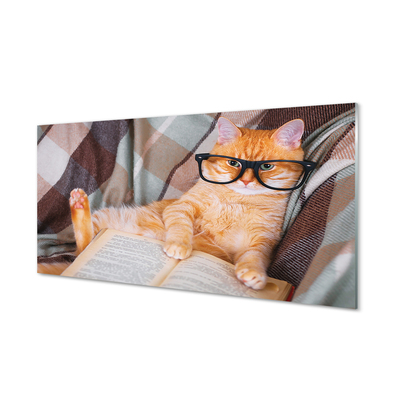 Sklenený obraz čitateľ cat