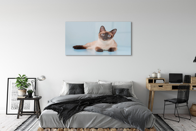 Sklenený obraz ležiace mačka
