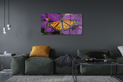 Sklenený obraz Farebný motýľ kvety