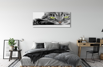 Sklenený obraz šedočierna mačka