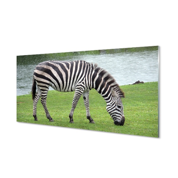 Sklenený obraz zebra