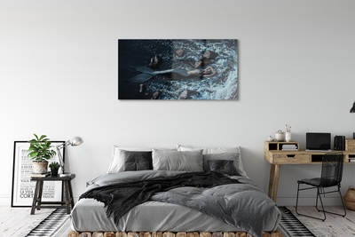 Sklenený obraz morská siréna