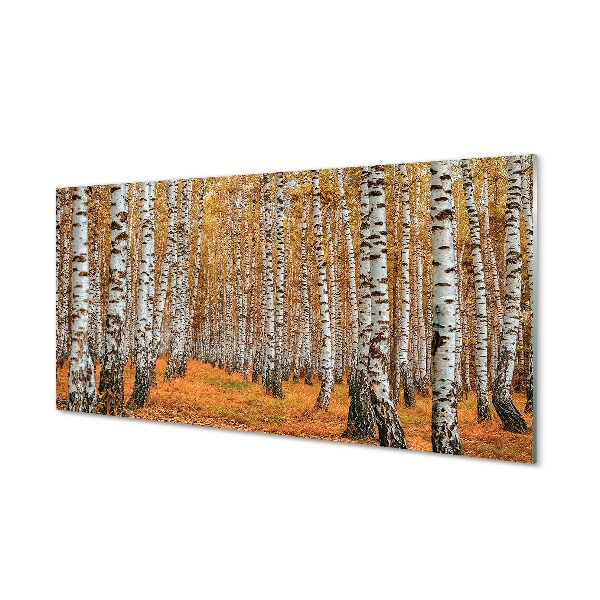 Sklenený obraz jesenné stromy