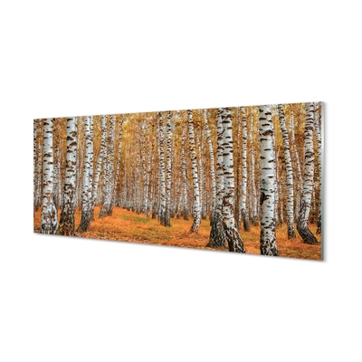 Sklenený obraz jesenné stromy