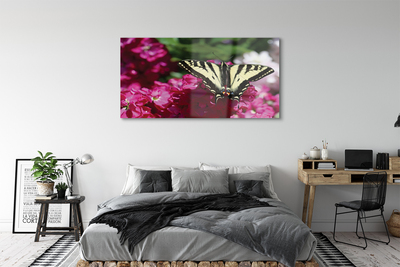Sklenený obraz kvety motýľ