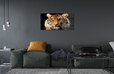 Sklenený obraz tiger