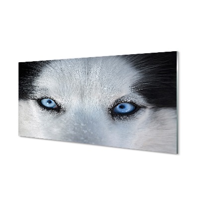 Sklenený obraz wolf Eyes
