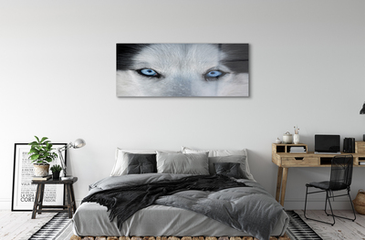 Sklenený obraz wolf Eyes