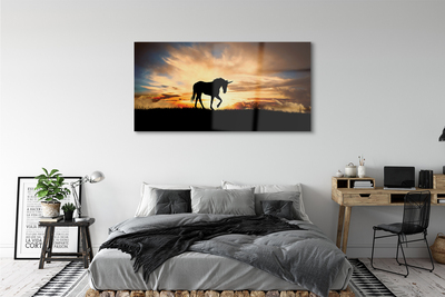 Sklenený obraz Unicorn sunset
