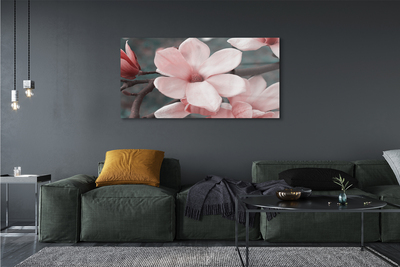Sklenený obraz ružové kvety