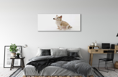 Sklenený obraz Sediaci malého psa